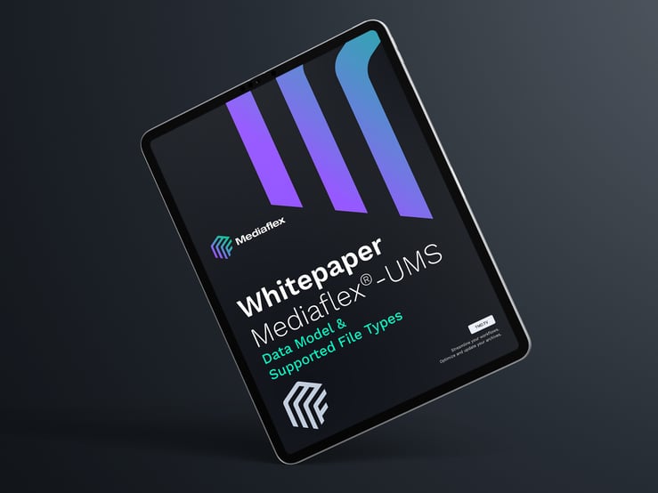 Whitepaper_Thumbnail_DataModel&SupportedFiles-1